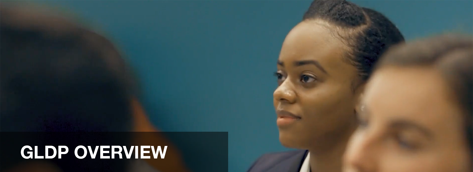 GLDP APŽVALGA