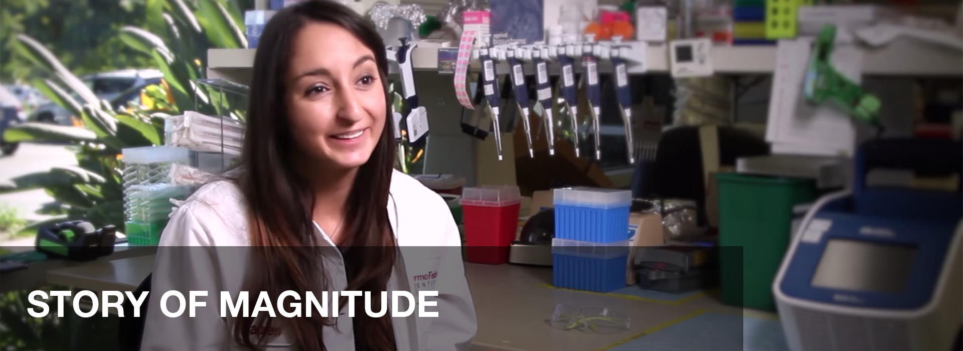 REIKŠMINGUMO ISTORIJA